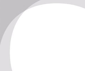 DIARIO SINDICAL 300-250